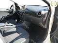 Mercedes-Benz B 180 B 180 d Executive Blanc - thumbnail 14