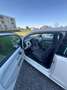 Volkswagen up! Up 1,0 white up! BMT white up! Weiß - thumbnail 3