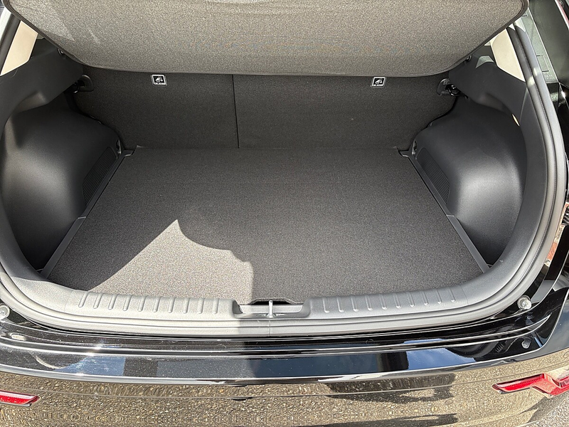 Kia e-Niro Niro EV Long Range 64kWh Gold Aut. — photo 15