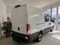 Iveco Daily 35S18HA8 CRV Weiß - thumbnail 3