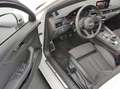 Audi A4 3.0 TDI qu Sport AHK*360°*Sound*VC*Side Weiß - thumbnail 13