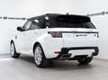Land Rover Range Rover Sport 3.0 sdV6 HSE Dynamic 306cv auto Bianco - thumbnail 2