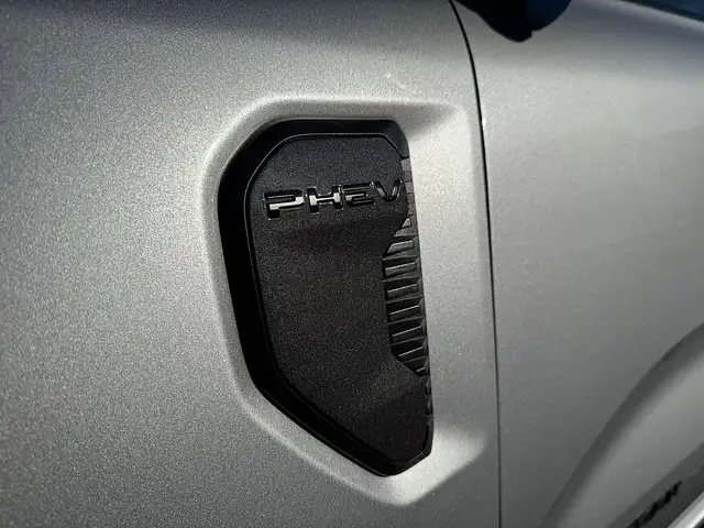 Ford Ranger Ranger DK Wildtrak e-4WD 2.3 EcoBoost Aut. 3,5t... Ansicht 19