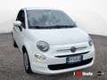Fiat 500 1.2 Pop 69cv Bianco - thumbnail 2