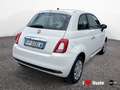 Fiat 500 1.2 Pop 69cv Bianco - thumbnail 3