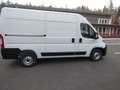 Opel Movano C Kasten  L2H2 3,5t Edition Navi Klima Wit - thumbnail 7