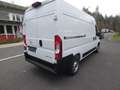 Opel Movano C Kasten  L2H2 3,5t Edition Navi Klima Wit - thumbnail 6