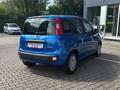 Fiat Panda 1.0 Hybrid MY'25 + City Paket *PDC hi*ZV*Bluetooth Blu/Azzurro - thumbnail 3