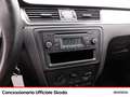 Skoda Rapid/Spaceback spaceback 1.6 tdi cr elegance 90cv Grigio - thumbnail 12