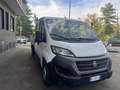 Fiat Ducato 2.3 MJT 120CV PLM-DOPPIA CABINA CASSONE FISSO Bianco - thumbnail 3