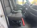 Fiat Ducato 2.3 MJT 120CV PLM-DOPPIA CABINA CASSONE FISSO Bianco - thumbnail 15