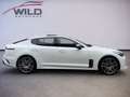 Kia Stinger 3.3 V6 T-GDI  4WD GT GL-Dach Weiß - thumbnail 4