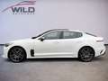 Kia Stinger 3.3 V6 T-GDI  4WD GT GL-Dach Weiß - thumbnail 7
