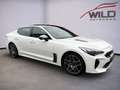 Kia Stinger 3.3 V6 T-GDI  4WD GT GL-Dach Weiß - thumbnail 3