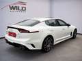 Kia Stinger 3.3 V6 T-GDI  4WD GT GL-Dach Weiß - thumbnail 5