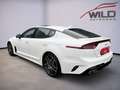 Kia Stinger 3.3 V6 T-GDI  4WD GT GL-Dach Weiß - thumbnail 6