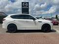 Mazda CX-60 e-SKYACTIV-D 200 HOMURA P-GSD DA-P CON-P PRE-COM-P Alb - thumbnail 2