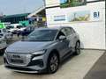 Audi e-tron 40 e-tron Business|Finanz. ab 149€|BIG Batterie Argent - thumbnail 7
