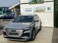 Audi e-tron 40 e-tron Business|Finanz. ab 149€|BIG Batterie Argent - thumbnail 6