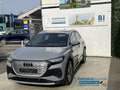 Audi e-tron 40 e-tron Business|Finanz. ab 149€|BIG Batterie Argent - thumbnail 1