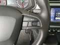 SEAT Arona Style Kamera SHZ PDC AHK Gris - thumbnail 14