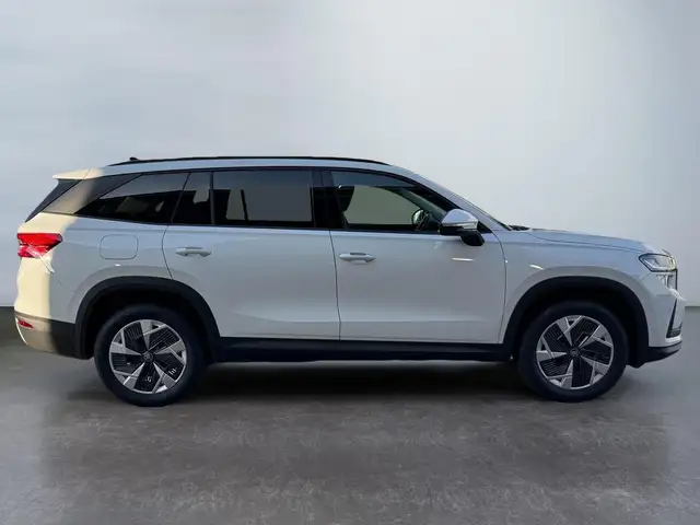 Skoda Kodiaq Selection 2.0 TSI 4x4 7 Sitzer Anhängerkupplung... Ansicht 4