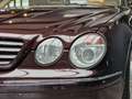 Mercedes-Benz CL 600 Coupe 5,5Ltr. V12*BOSE*Navi*ABC* Violett - thumbnail 8