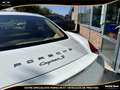 Porsche Cayman Cayman 3.4i - BV PDK  TYPE 981 COUPE S Weiß - thumbnail 48