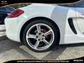 Porsche Cayman Cayman 3.4i - BV PDK  TYPE 981 COUPE S Weiß - thumbnail 45