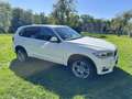 BMW X5 xDrive30d Aut. - thumbnail 3