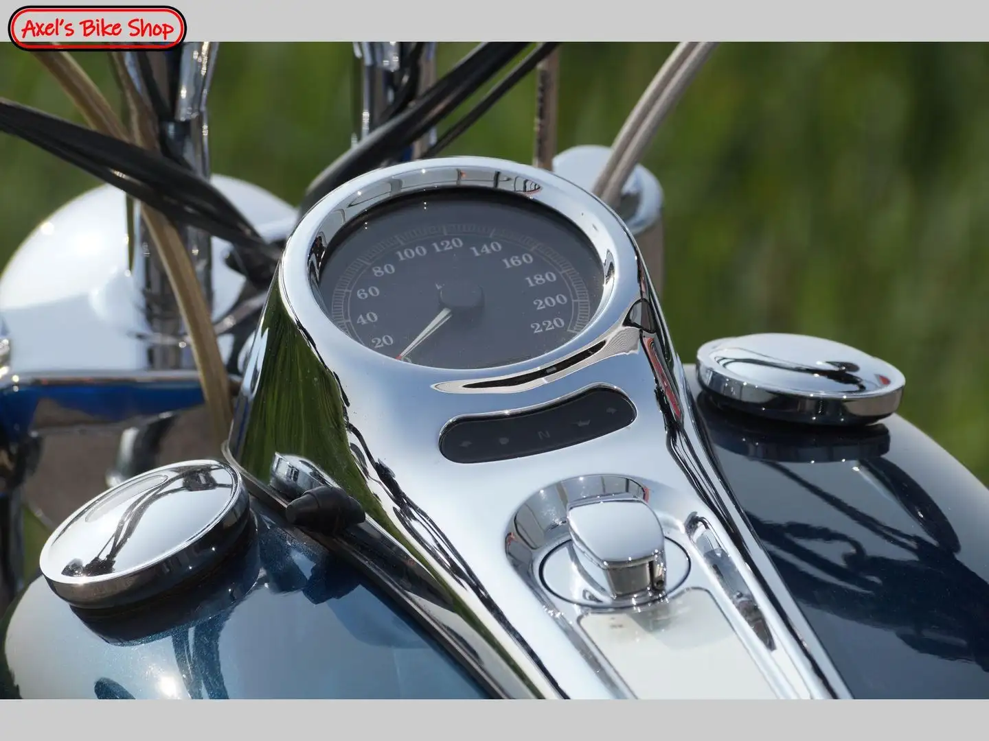 Harley-Davidson Deuce FXSTD SOFTAIL Blue - 2