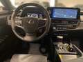 Lexus ES 300 2.5 Hybrid Luxury Line +HUD +LED Grau - thumbnail 11