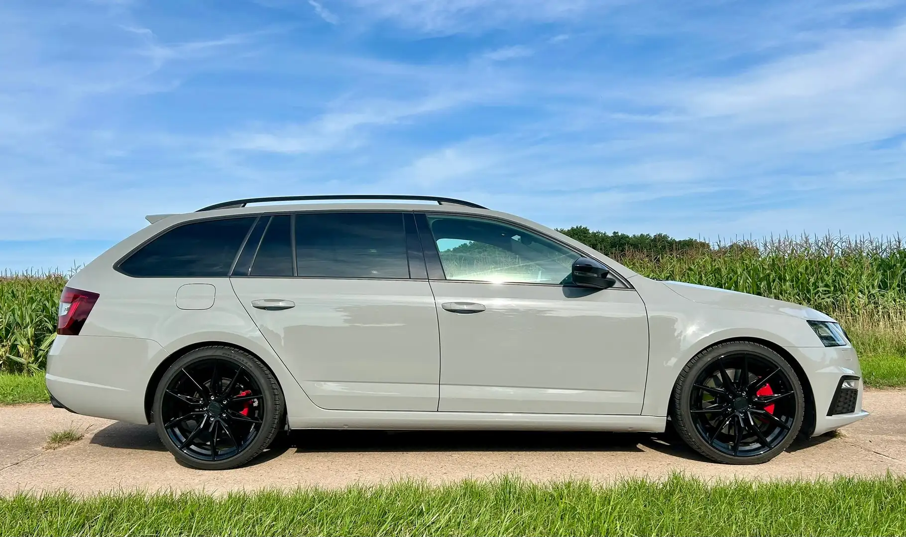 Skoda Octavia Octavia Combi 2.0 TSI RS Challenge Paket Grau - 2