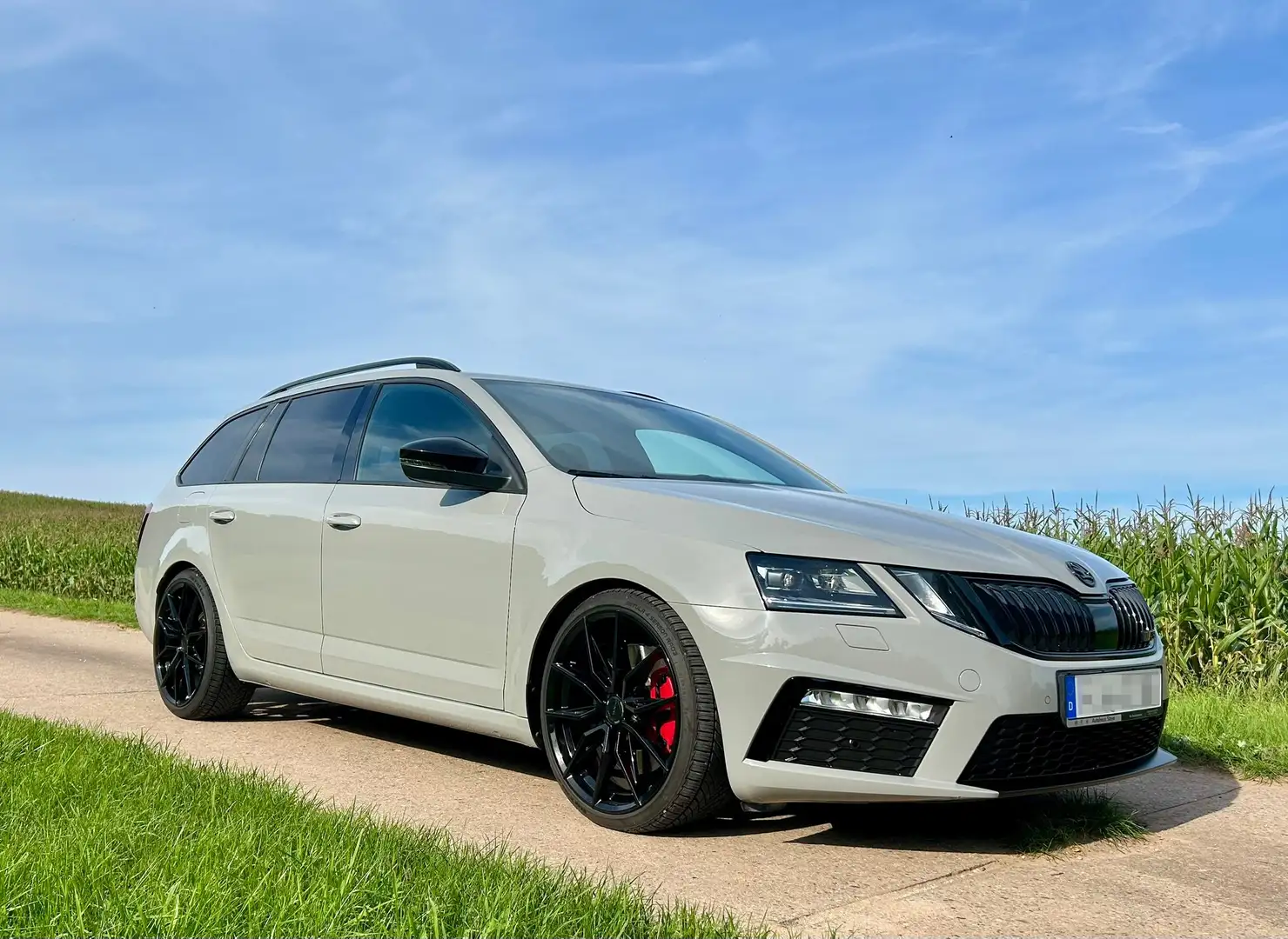 Skoda Octavia Octavia Combi 2.0 TSI RS Challenge Paket Grau - 1