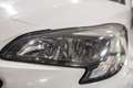 Opel Corsa 1.2 5 PORTE  COLOR OK NEOPATENTATI CERCHI IN LEGA Weiß - thumbnail 17
