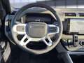 Land Rover Defender 90 D200 S Standhzg. Grau - thumbnail 17