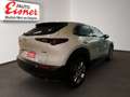 Mazda CX-30 G140 AT EXCLUSIVE LINE BOSE, Sitzheinzung Beige - thumbnail 13