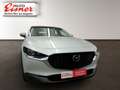 Mazda CX-30 G140 AT EXCLUSIVE LINE BOSE, Sitzheinzung Beige - thumbnail 16