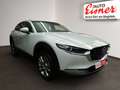 Mazda CX-30 G140 AT EXCLUSIVE LINE BOSE, Sitzheinzung Beige - thumbnail 15