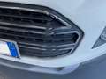 Ford EcoSport EcoSport 1.5 tdci Titanium S 95cv Bianco - thumbnail 7