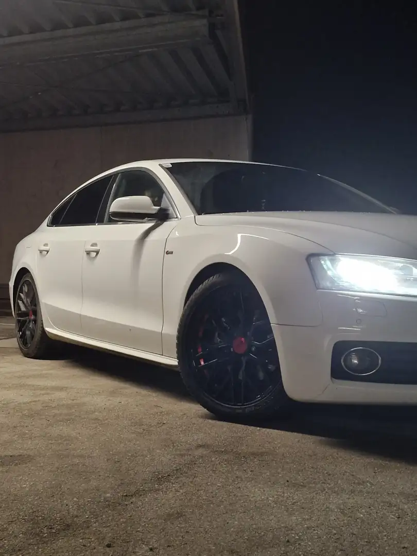 Audi A5 SB 2,0 TDI quattro DPF - 1