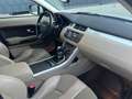 Land Rover Range Rover Evoque Range Rover Evoque Pure Tech 2,2 eD4 Pure Tech Weiß - thumbnail 11