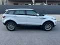 Land Rover Range Rover Evoque Range Rover Evoque Pure Tech 2,2 eD4 Pure Tech Weiß - thumbnail 7