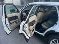 Land Rover Range Rover Evoque Range Rover Evoque Pure Tech 2,2 eD4 Pure Tech Weiß - thumbnail 13
