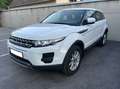 Land Rover Range Rover Evoque Range Rover Evoque Pure Tech 2,2 eD4 Pure Tech Weiß - thumbnail 1