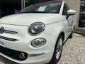 Fiat 500 1.0 hybrid 70cv * TETTO PANORAMICO * Blanc - thumbnail 7