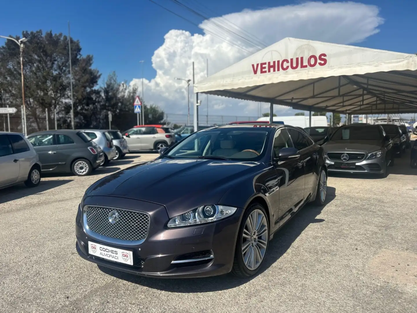 Jaguar XJ 3.0D SWB Luxury Aut. Bruin - 1