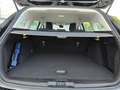 Ford Focus Focus V 2022 SW SW 1.5 ecoblue Business 120cv auto Negro - thumbnail 10