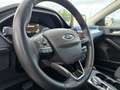 Ford Focus Focus V 2022 SW SW 1.5 ecoblue Business 120cv auto Negro - thumbnail 15