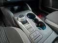 Ford Focus Focus V 2022 SW SW 1.5 ecoblue Business 120cv auto Negro - thumbnail 12